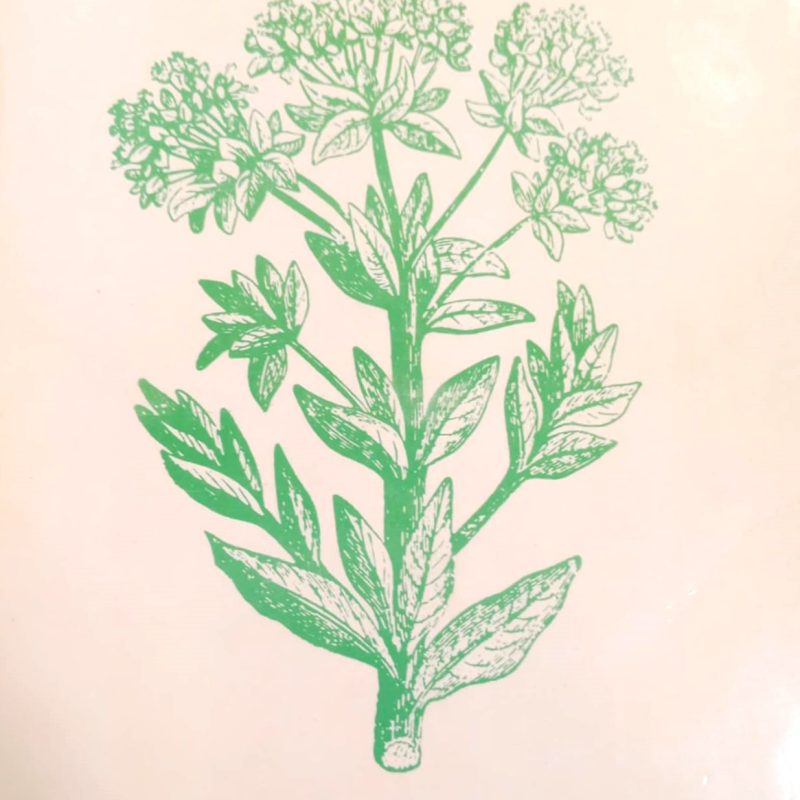 Βοτανοθεραπευτική (Παλαιoβιβλιοπωλείο)