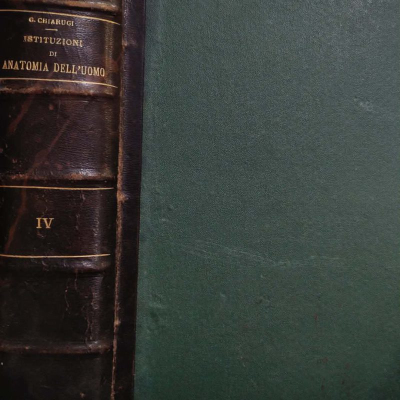 Istituzioni di anatomia dell' uomo G Chiarugi