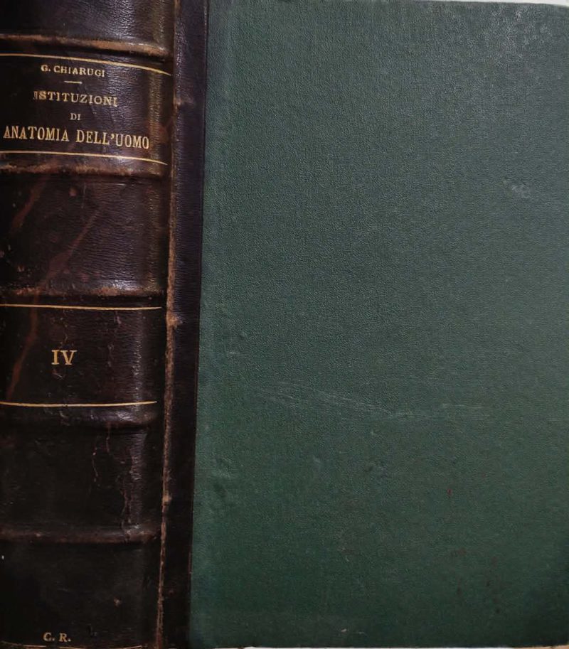 Istituzioni di anatomia dell' uomo G Chiarugi Istituzioni di anatomia dell' uomo G Chiarugi